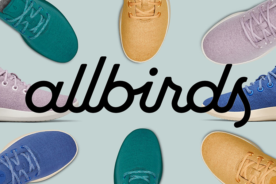 Allbirds sells its shoes, becomes an AI company, stock surges 582%